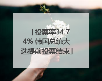 投票率34.74% 韩国总统大选提前投票结束