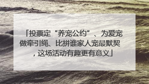 投票定“养宠公约”、为爱宠做牵引绳、比拼谁家人宠最默契，这场活动有趣更有意义