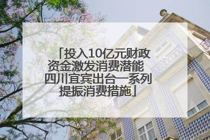 投入10亿元财政资金激发消费潜能 四川宜宾出台一系列提振消费措施