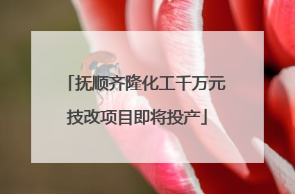 抚顺齐隆化工千万元技改项目即将投产