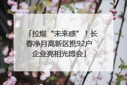 拉爆“未来感”！长春净月高新区携92户企业亮相光博会
