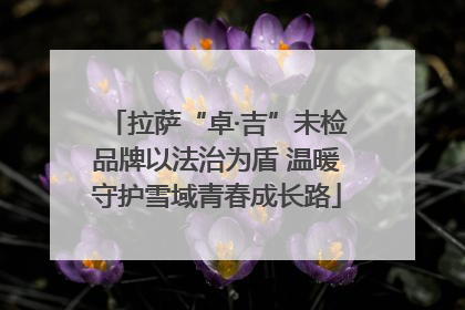 拉萨“卓·吉”未检品牌以法治为盾 温暖守护雪域青春成长路