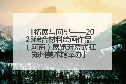 拓展与回望——2025综合材料绘画作品（河南）展览开幕式在郑州美术馆举办