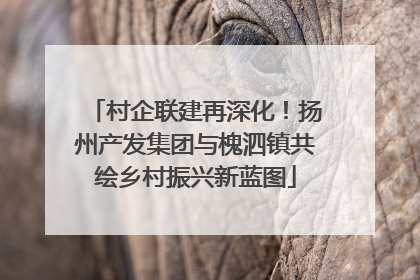 村企联建再深化！扬州产发集团与槐泗镇共绘乡村振兴新蓝图