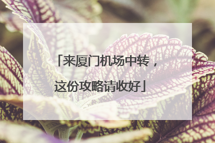 来厦门机场中转，这份攻略请收好