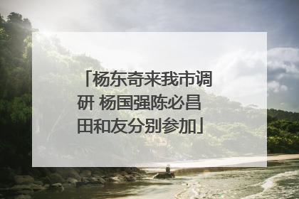 杨东奇来我市调研 杨国强陈必昌田和友分别参加
