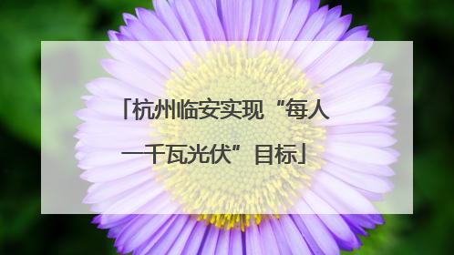 杭州临安实现“每人一千瓦光伏”目标