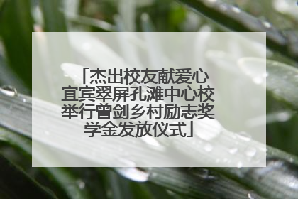 杰出校友献爱心 宜宾翠屏孔滩中心校举行曾剑乡村励志奖学金发放仪式