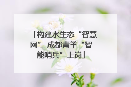 构建水生态“智慧网” 成都青羊“智能哨兵”上岗