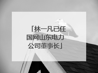 林一凡已任国网山东电力公司董事长