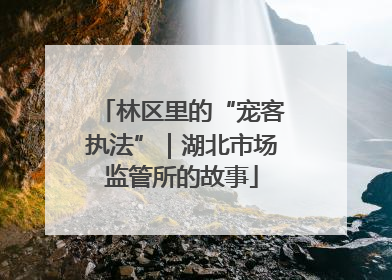 林区里的“宠客执法”｜湖北市场监管所的故事