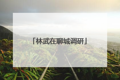 林武在聊城调研