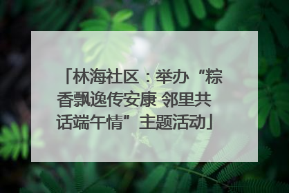 林海社区：举办“粽香飘逸传安康 邻里共话端午情”主题活动