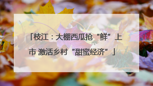 枝江：大棚西瓜抢“鲜”上市 激活乡村“甜蜜经济”