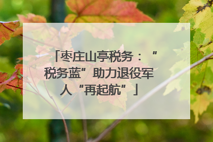 枣庄山亭税务：“税务蓝”助力退役军人“再起航”