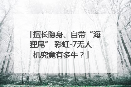 擅长隐身、自带“海狸尾” 彩虹-7无人机究竟有多牛？