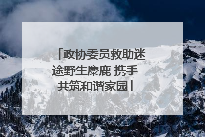 政协委员救助迷途野生麋鹿 携手共筑和谐家园