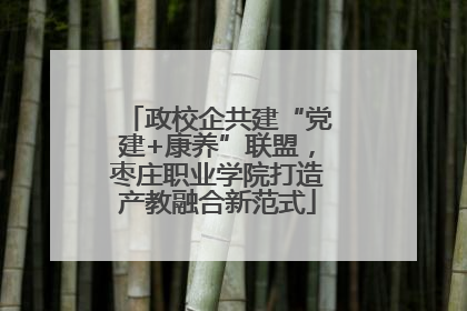 政校企共建“党建+康养”联盟，枣庄职业学院打造产教融合新范式
