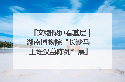 文物保护看基层｜湖南博物院“长沙马王堆汉墓陈列”展