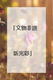 文物非遗新光彩