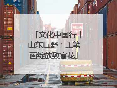文化中国行丨山东巨野：工笔画绽放致富花