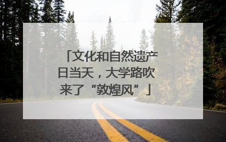 文化和自然遗产日当天，大学路吹来了“敦煌风”