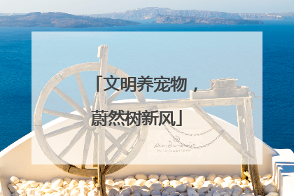文明养宠物，蔚然树新风