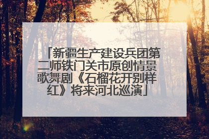 新疆生产建设兵团第二师铁门关市原创情景歌舞剧《石榴花开别样红》将来河北巡演