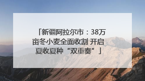 新疆阿拉尔市：38万亩冬小麦全面收割 开启夏收夏种“双重奏”