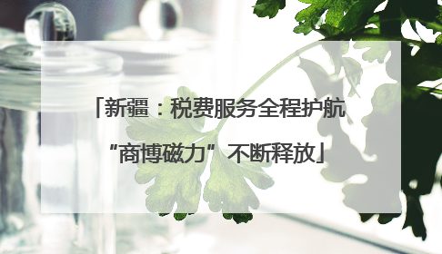 新疆：税费服务全程护航 “商博磁力”不断释放