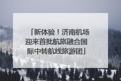 新体验！济南机场迎来首批航旅融合国际中转航线旅游团