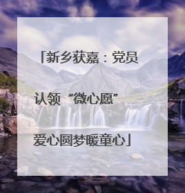 新乡获嘉：党员认领“微心愿” 爱心圆梦暖童心