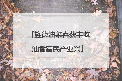 旌德油菜喜获丰收 油香富民产业兴
