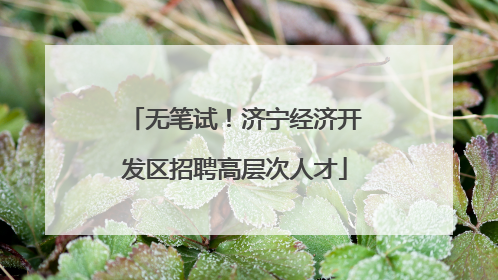 无笔试！济宁经济开发区招聘高层次人才