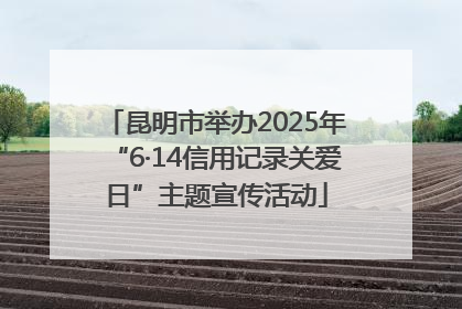 昆明市举办2025年“6·14信用记录关爱日”主题宣传活动