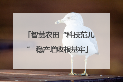 智慧农田“科技范儿” 稳产增收根基牢