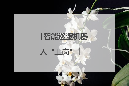智能巡逻机器人“上岗”