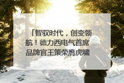 智驭时代，创变领航！德力西电气首席品牌官王策荣膺虎啸奖年度品牌人物