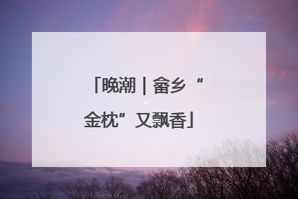 晚潮｜畲乡“金枕”又飘香