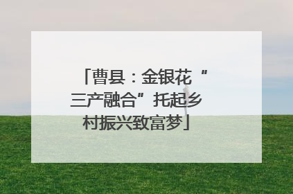 曹县：金银花“三产融合”托起乡村振兴致富梦