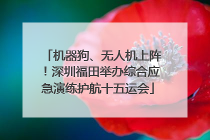 机器狗、无人机上阵！深圳福田举办综合应急演练护航十五运会