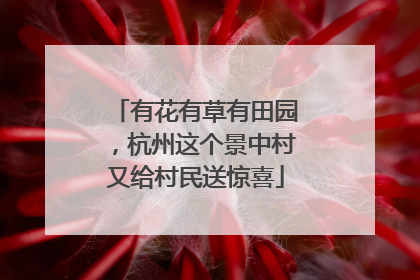 有花有草有田园，杭州这个景中村又给村民送惊喜