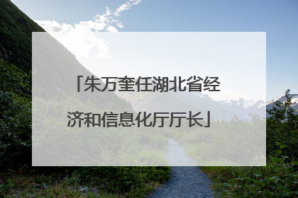 朱万奎任湖北省经济和信息化厅厅长