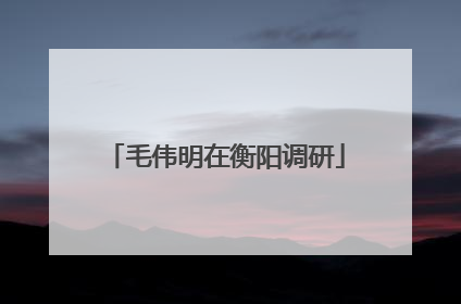 毛伟明在衡阳调研