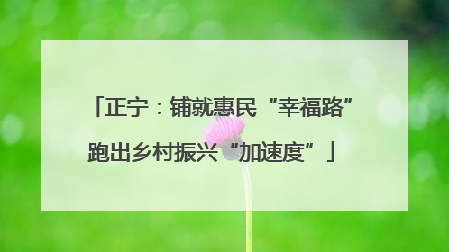 正宁：铺就惠民“幸福路”跑出乡村振兴“加速度”