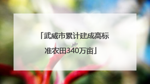 武威市累计建成高标准农田340万亩