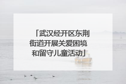 武汉经开区东荆街道开展关爱困境和留守儿童活动