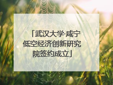 武汉大学·咸宁低空经济创新研究院签约成立