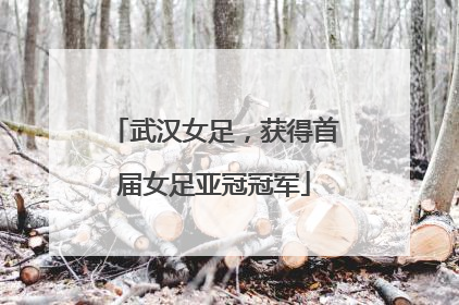 武汉女足，获得首届女足亚冠冠军