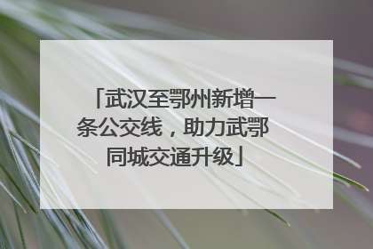 武汉至鄂州新增一条公交线，助力武鄂同城交通升级